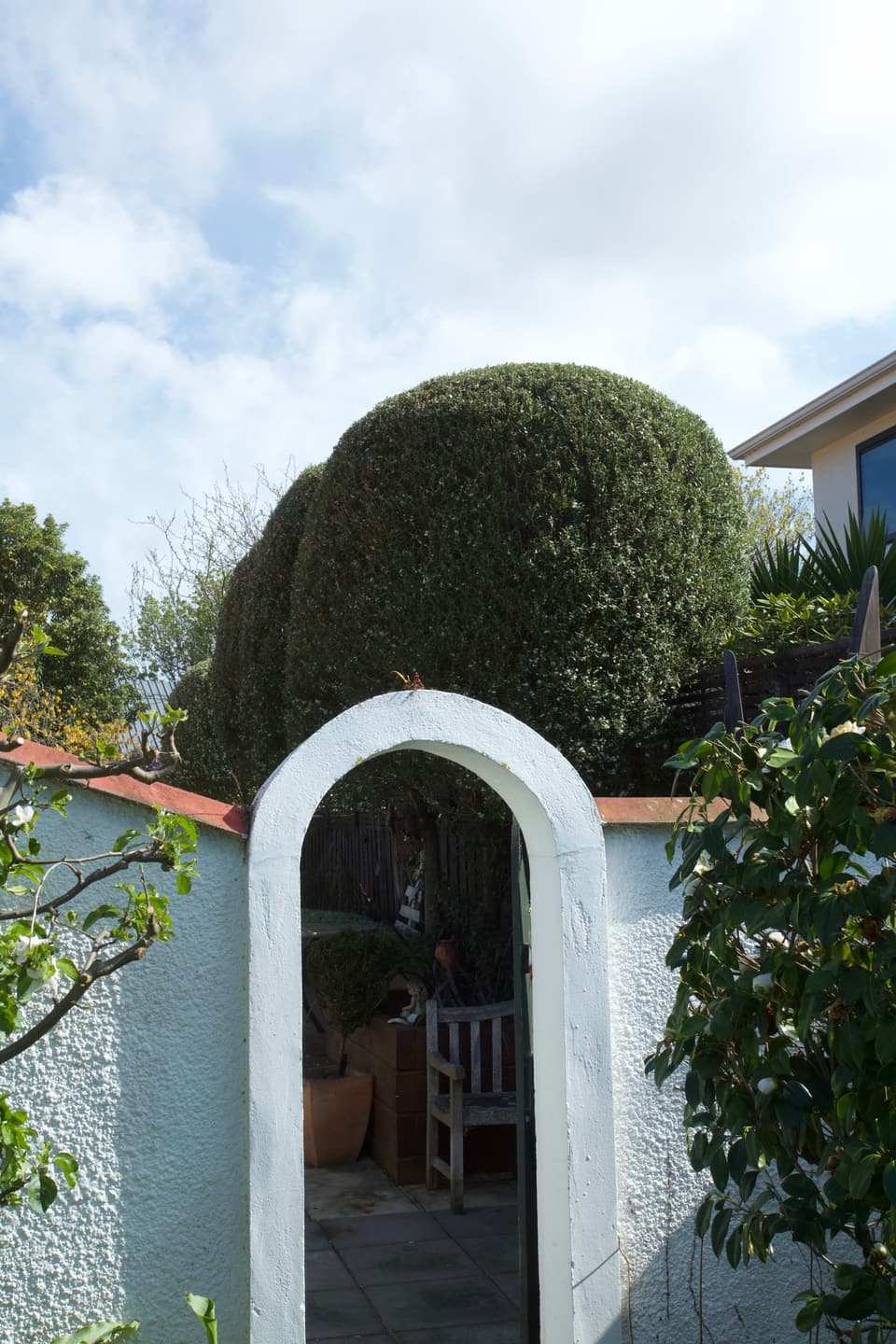 Topiary-shaped tree above a white archway